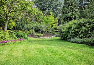 Optimiser l'expérience du jardin à Jaligny-sur-Besbre